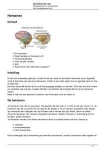 Hersenen - Spreekbeurten.info