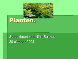 Planten. - Welkom bij De_Rietvink.basisschoolweb.nl!