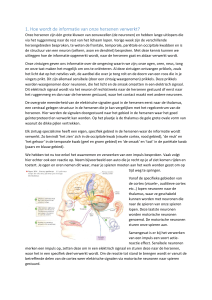 1. Hoe wordt de informatie van onze hersenen verwerkt?