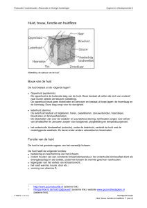 Huid, bouw, functie en huidflora