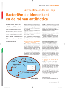 Bacteriën: de binnenkant en de rol van antibiotica