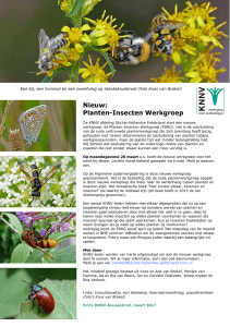 Nieuw: Planten-Insecten Werkgroep