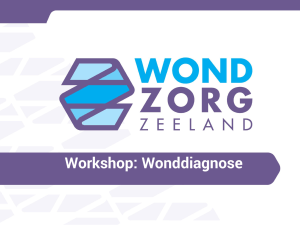 Workshop: Wonddiagnose