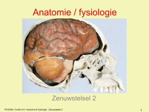 Toegepaste anatomie en fysiologie