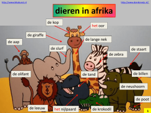 Afrika Dieren Kleuters.pps (235520)