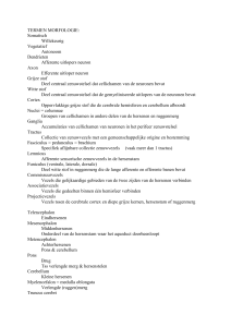 termen morfologie