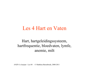Les 4 Hart en Vaten - Matthieu Berenbroek