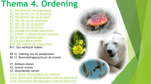 T4. Ordening - bioLOGIETCCL
