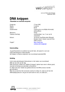 DNA knippen