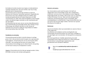 www.emmen.groei.nl. Citroenmelisse