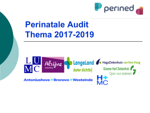 Perinatale Audit 2017-2019