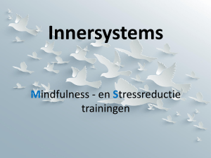 Innersystems Mindfulness Trainingen Zeeland