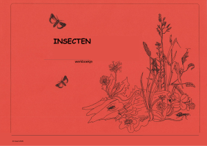 insecten - WordPress.com