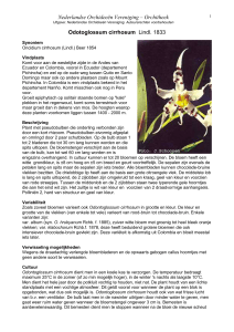 Verwisseling mogelijkheden - Nederlandse Orchideeën Vereniging