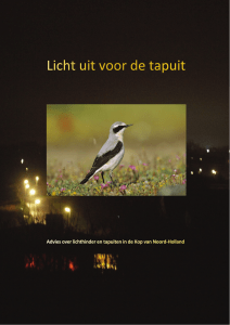 Licht uit voor de tapuit - Milieufederatie Noord Holland