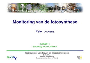 Monitoring van de fotosynthese
