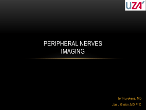 Imaging of the peripheral nerves