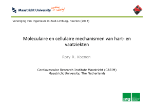 Moleculaire en cellulaire mechanismen van hart-‐ en