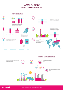 Essent Energieprijs Infographics