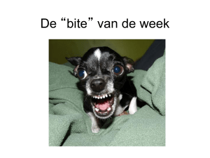 De “bite” van de week