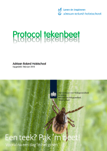 Protocol tekenbeet - Adriaan Roland Holstschool