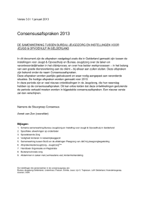 Consensusafspraken 2013 tekst