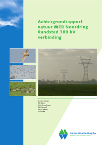 Achtergrondrapport natuur MER Noordring Randstad 380 kV