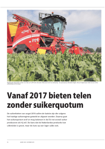 Vanaf 2017 bieten telen zonder suikerquotum