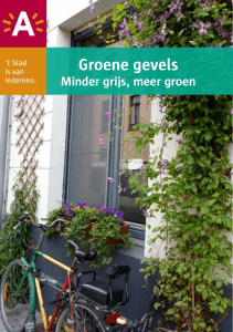 Groene gevels - Stad Antwerpen