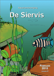 Maandblad van februar - Aquariumvereniging De Siervis