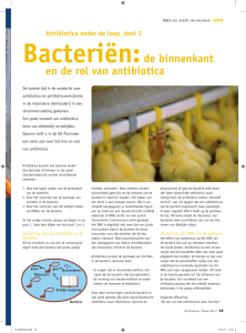 Bacteriën:de binnenkant en de rol van antibiotica