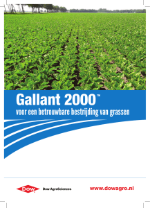 Gallant 2000TM - The DOW Chemical Company