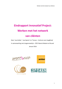 Eindrapport Innovatief Project: Werken met het netwerk van cliënten