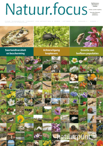 Soortendiversiteit en bescherming Achteruitgang loopkevers Grootte