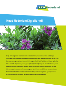 Houd Nederland Xylella-vrij