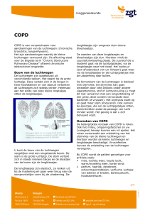 longgeneeskunde Bouw van de luchtwegen Oorzaken van COPD