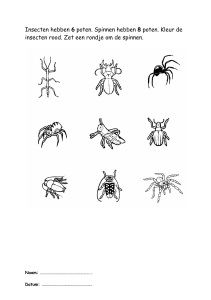 insecten-spinnen