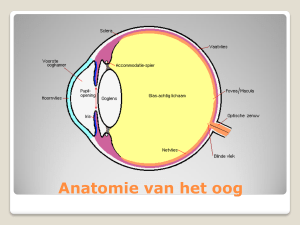 Anatomie van het oog Anatomie van het oog Breking in het oog