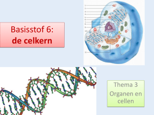 Basisstof 6: de celkern