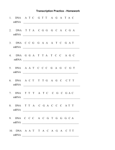 Transcripton/Translation Worksheet