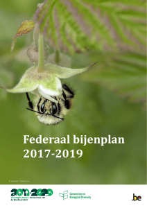 Federaal bijenplan 2017-2019
