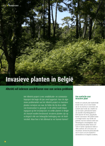 Invasieve planten in België