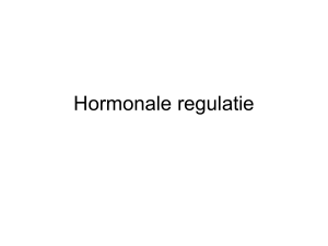Powerpoint hormonale regulatie
