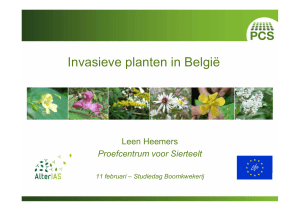 Invasieve planten in België