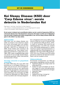 Koi Sleepy Disease (KSD) door `Carp Edema virus`: eerste detectie