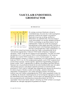vasculair endotheel groeifactor