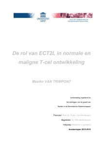 De rol van ECT2L in normale en maligne T
