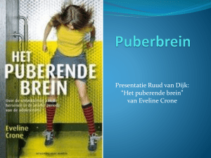 Puberbrein - Portfolio Ruud van Dijk