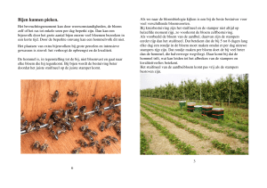Bijen kunnen pieken. - Nederlandse Bestuivingscommissie