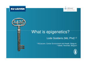 What is epigenetics?